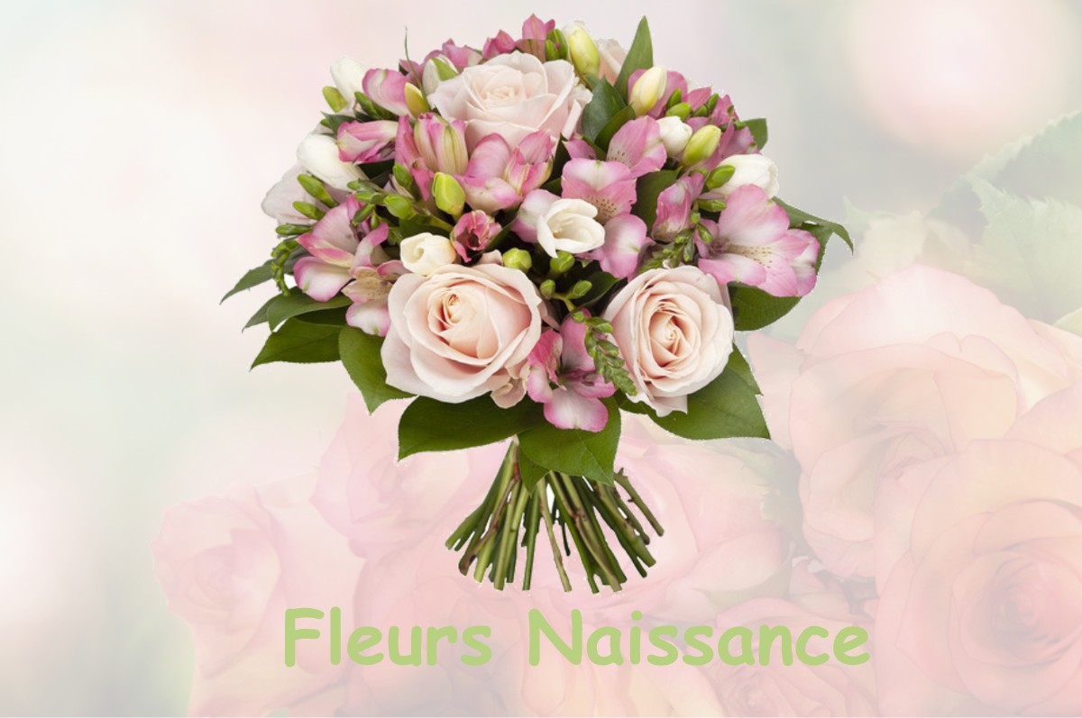 fleurs naissance LA-FREISSINOUSE